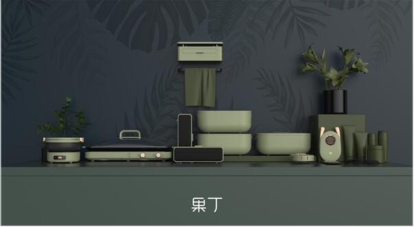 为新生代提供优质产品，国产新品牌果丁扬帆起航