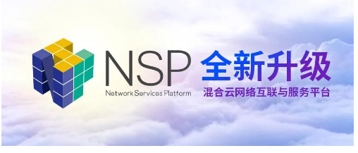 软件定义未来，看懂云杉网络软价值与硬实力