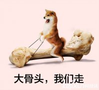 情人节送什么？这些科技产品值得一看！