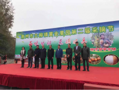 滁州黄金梨金秋采摘正当时，京东直播走进中国食品之都