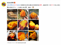 薯立方：以产品质量立基，走品牌化发展之路