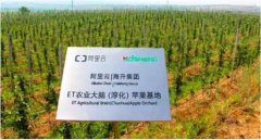 腾讯阿里等巨头争相布局农业，时迈科技何以占据变革潮头