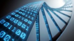 GRPLDEX国际数字交易所,打破交易壁垒,让数字资产交易变的更加简单