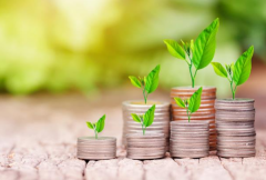 新手理财 这5个专业术语+REC虚拟货币了解一下