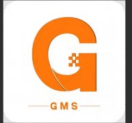 新加坡甘美思基金会年度巨献：开心链（GSG）震撼来袭