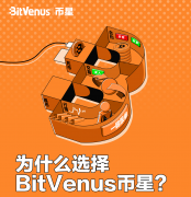 关于BitVenus币星交易平台你需要知道的所有事情